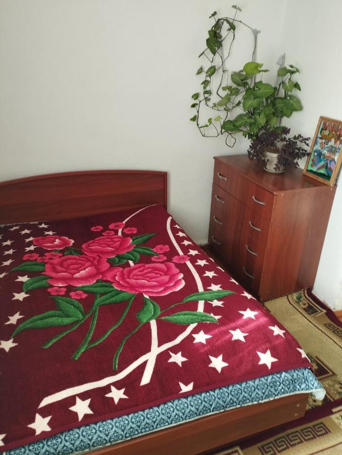 Guest House Sono Adress Derbisheva 202 Karakol Buitenkant foto